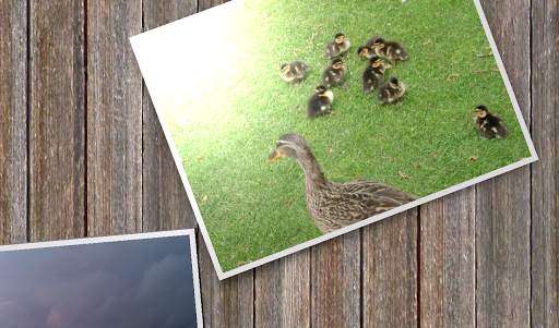 Slideshow 500 FREE screenshot 13