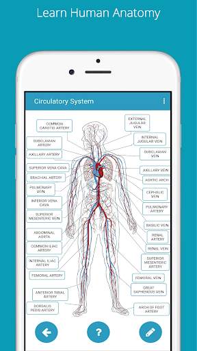 Learn Human Anatomy (Human Body) screenshot 2