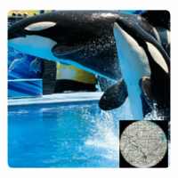 VR Guide: SeaWorld Orlando on 9Apps