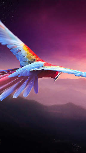 Bird Wallpaper 4K screenshot 8