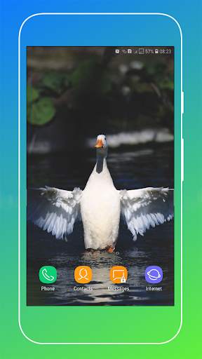 Duck Wallpaper screenshot 12