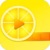 Limbu Video Status App - Download Status logo