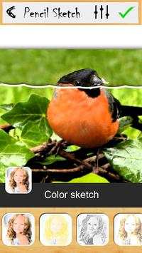 Pencil sketch photo Maker screenshot 6