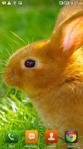 Cute Bunnies Live Wallpaper screenshot 3