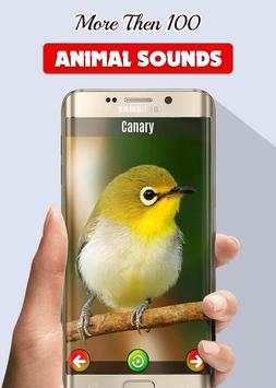 Animals and Birds Sounds screenshot 2