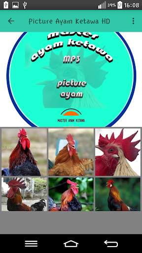 Master Ayam Ketawa Offline screenshot 4