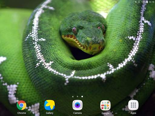Snake Live Wallpaper screenshot 11