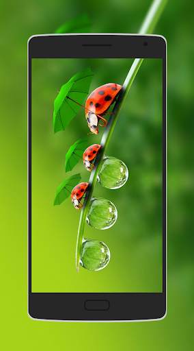 Funny Wallpapers screenshot 2