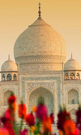 Taj Mahal Live Wallpaper (backgrounds & themes) screenshot 2