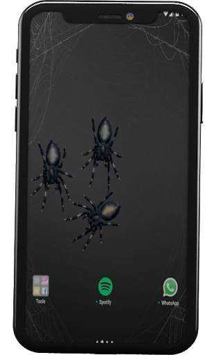 Angry Spiders Live Wallpaper screenshot 2