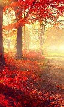 Autumn Jigsaw Puzzle Game screenshot 2