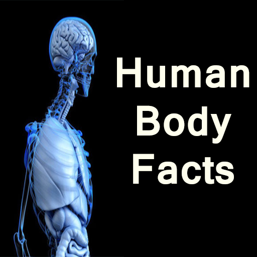 Human body facts icon