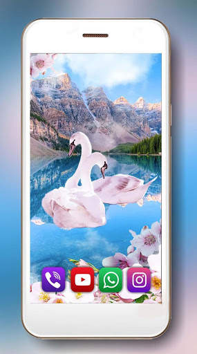 Spring Swans Live Wallpaper screenshot 1