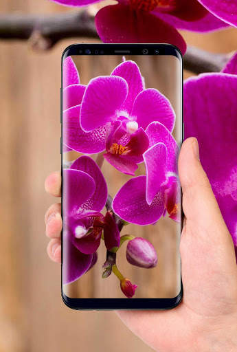 Orchids 3D Free Live Wallpaper screenshot 5