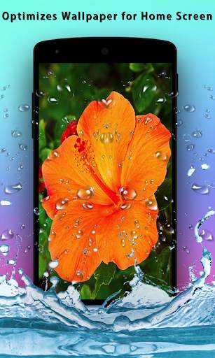Hibiscus 3D Live Wallpaper скриншот 6