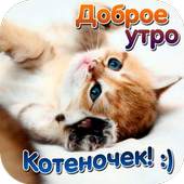 Красивые открытки 1.2