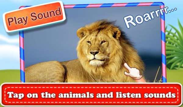 Real Wild Animal Sounds screenshot 3