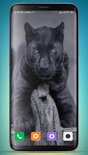 Black Panther Wallpaper HD screenshot 7