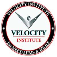 Velocity Institute иконка