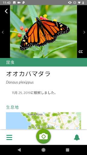 Seek by iNaturalist screenshot 2