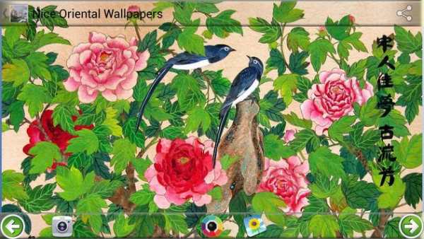 Nice Oriental Wallpapers screenshot 1