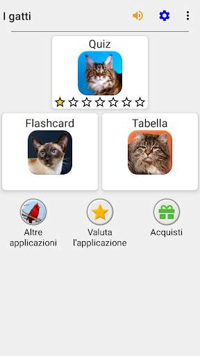 Gatti e gatte: Foto-quiz sulle razze popolari screenshot 3