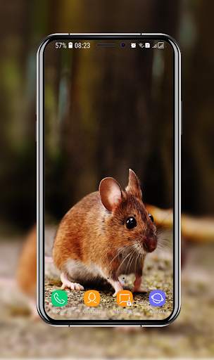 Cute Hamster Wallpaper screenshot 12