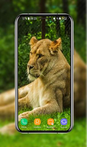 New Lion Wallpaper screenshot 2