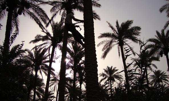 Iraq wallpapers screenshot 1