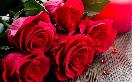 Red Rose Wallpaper screenshot 2
