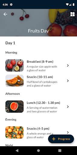 GM Diet Plan For Weight Loss screenshot 4