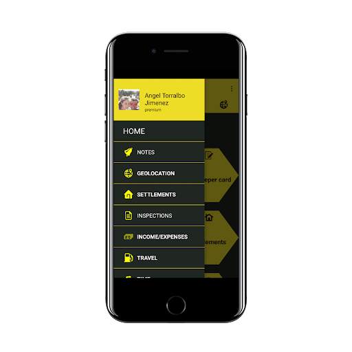Vespa Velutina screenshot 1