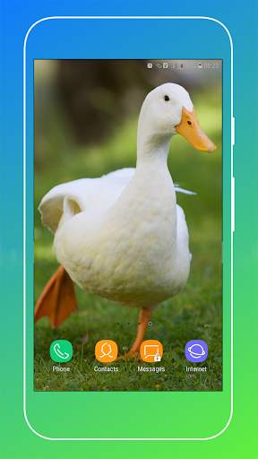 Duck Wallpaper screenshot 11