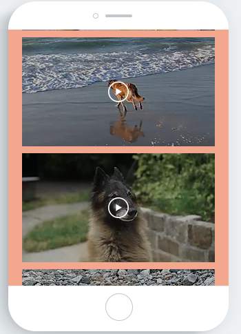 Dogs screenshot 7