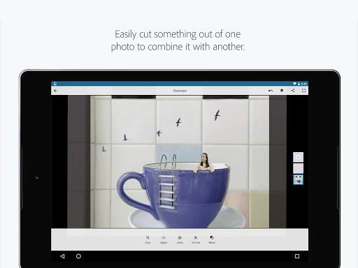 Adobe Photoshop Mix - Cut-out, Combine, Create screenshot 6