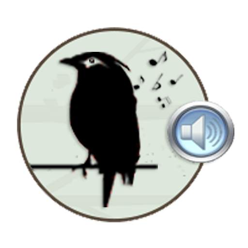 Chirping Birds of Indonesia 1.4