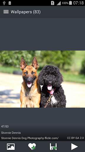 Dog Wallpapers screenshot 5