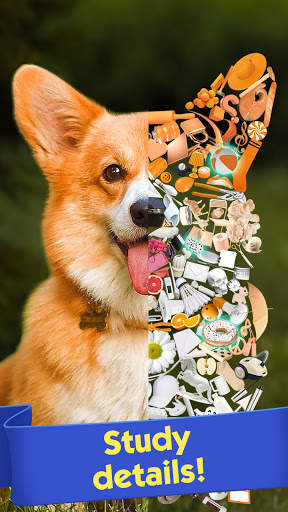 Tiny Things: hidden object games screenshot 1