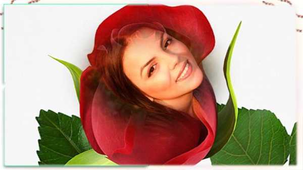 Rose Photo Frames скриншот 3