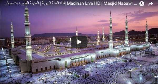 Live Madinah (no ads) screenshot 1