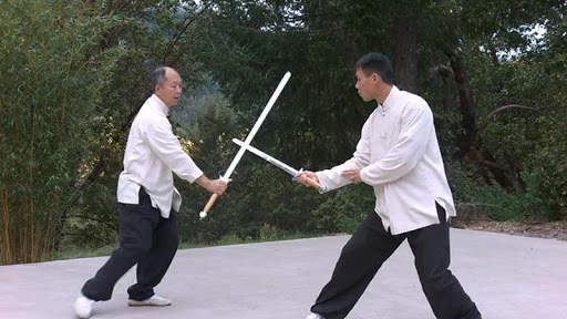 Tai Chi Sword for Beginners (YMAA) screenshot 9