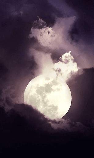 Moonlight HD Wallpapers-Moon Wallpaper Background screenshot 1