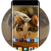 Theme for Xolo Q1100 Cat Wallpaper