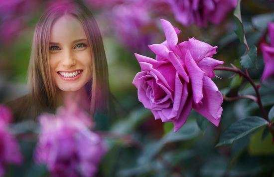 Pink Rose Photo Frames 2 تصوير الشاشة