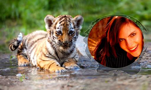 Tiger Photo Frames screenshot 10