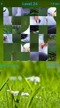 Birds Puzzle screenshot 4