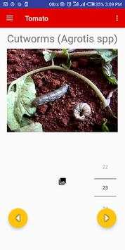 Tomato Production Guide for Tropical regions 3 تصوير الشاشة