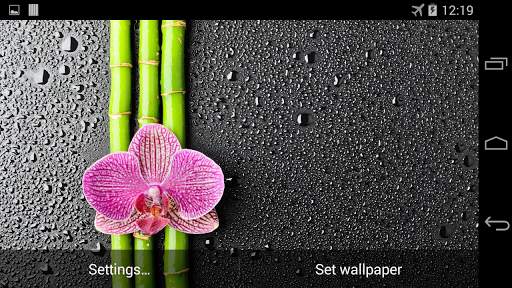 Orchid And Bamboo Wallpaper screenshot 5