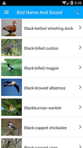 Bird Name And Sound screenshot 5