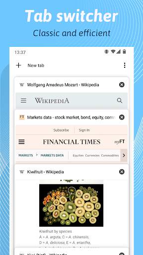 Kiwi Browser - Navigateur screenshot 2